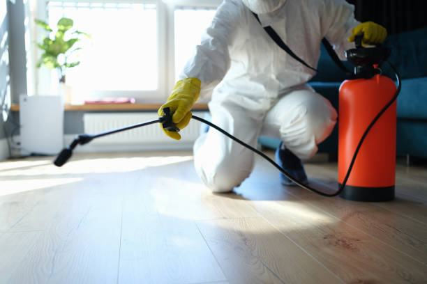 Reliable Infectious Disease Decontamination contractor in Raymond, CA by Crime Scene Cleaner Online
